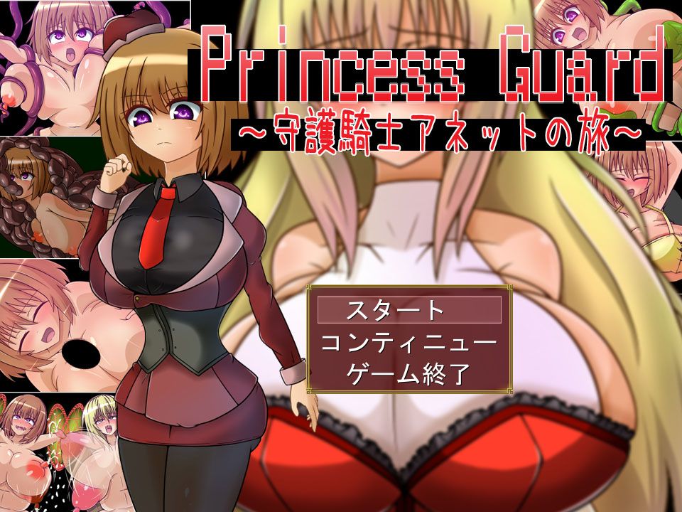 PrincessGuard～守護騎士アネットの旅～_タイトル